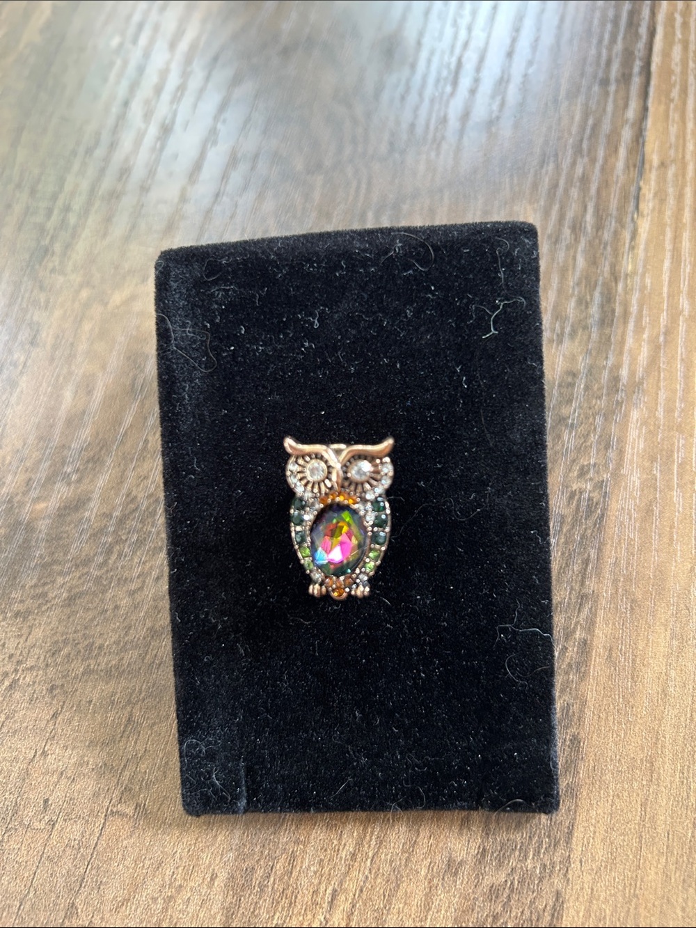 Iridescent Multicolor Owl Brooch Pin